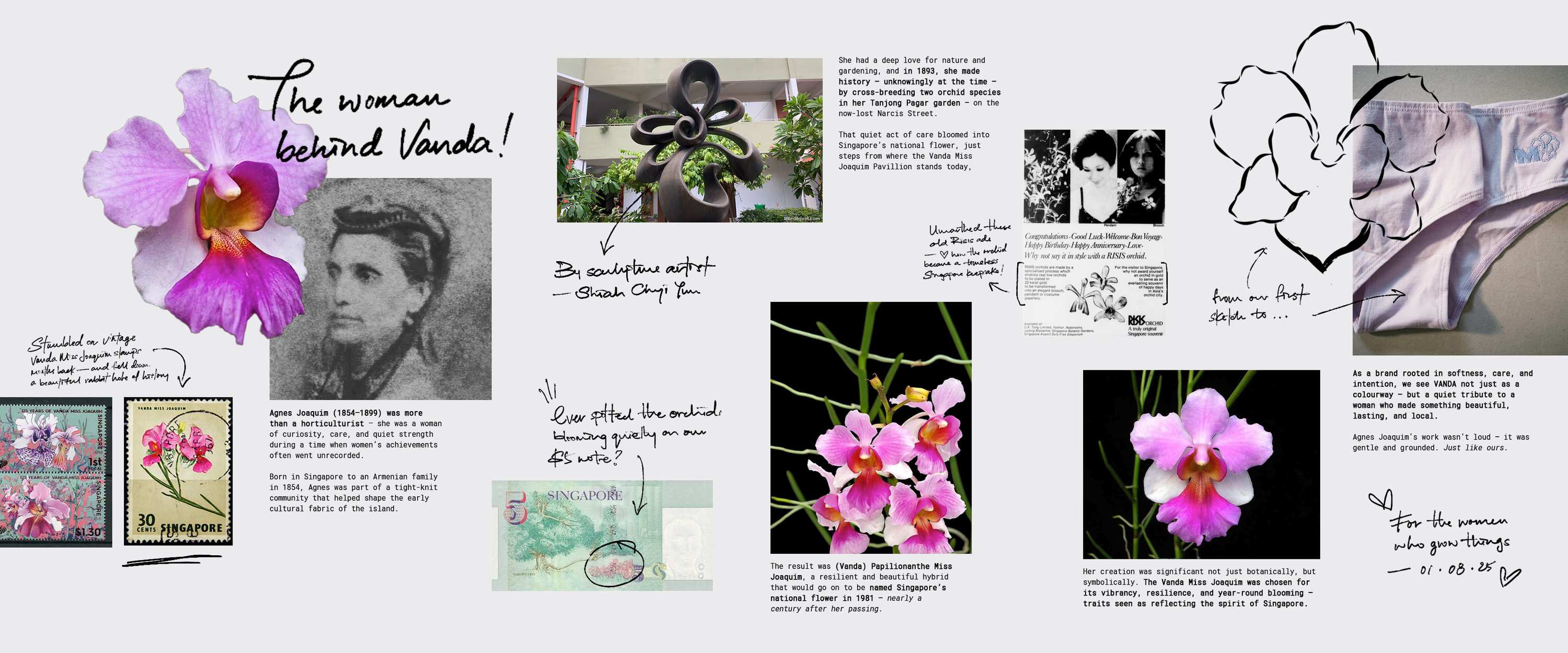 Rola Brief: Vanda